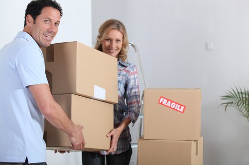 Man with van team maintaining safety during a professional removal